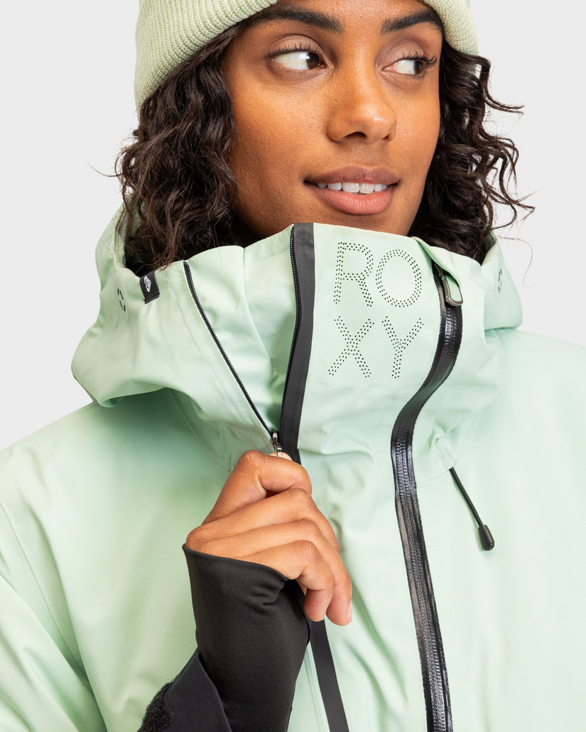 Womens Gore-Tex Stretch Purelines Snow Jacket