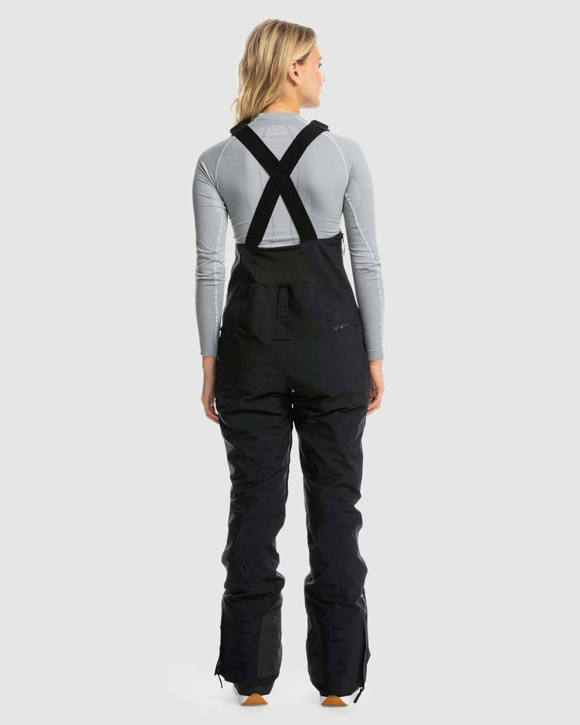 Womens Gore-Tex Stretch Prism Bib Pt Snowboard Pants