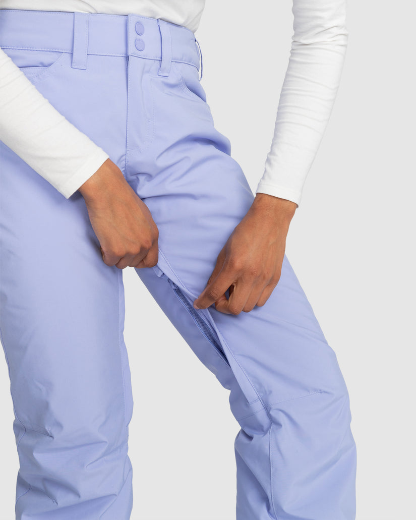 Womens Backyard Technical Snow Pants