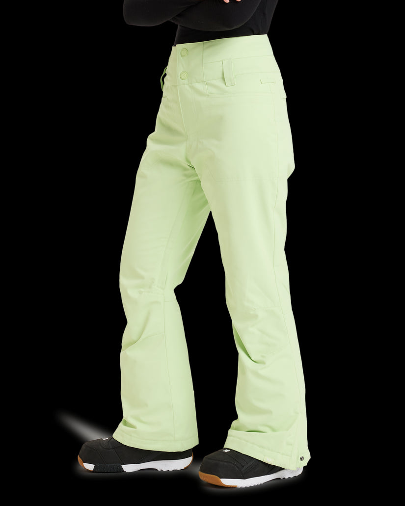 Womens Diversion  Snow Pant