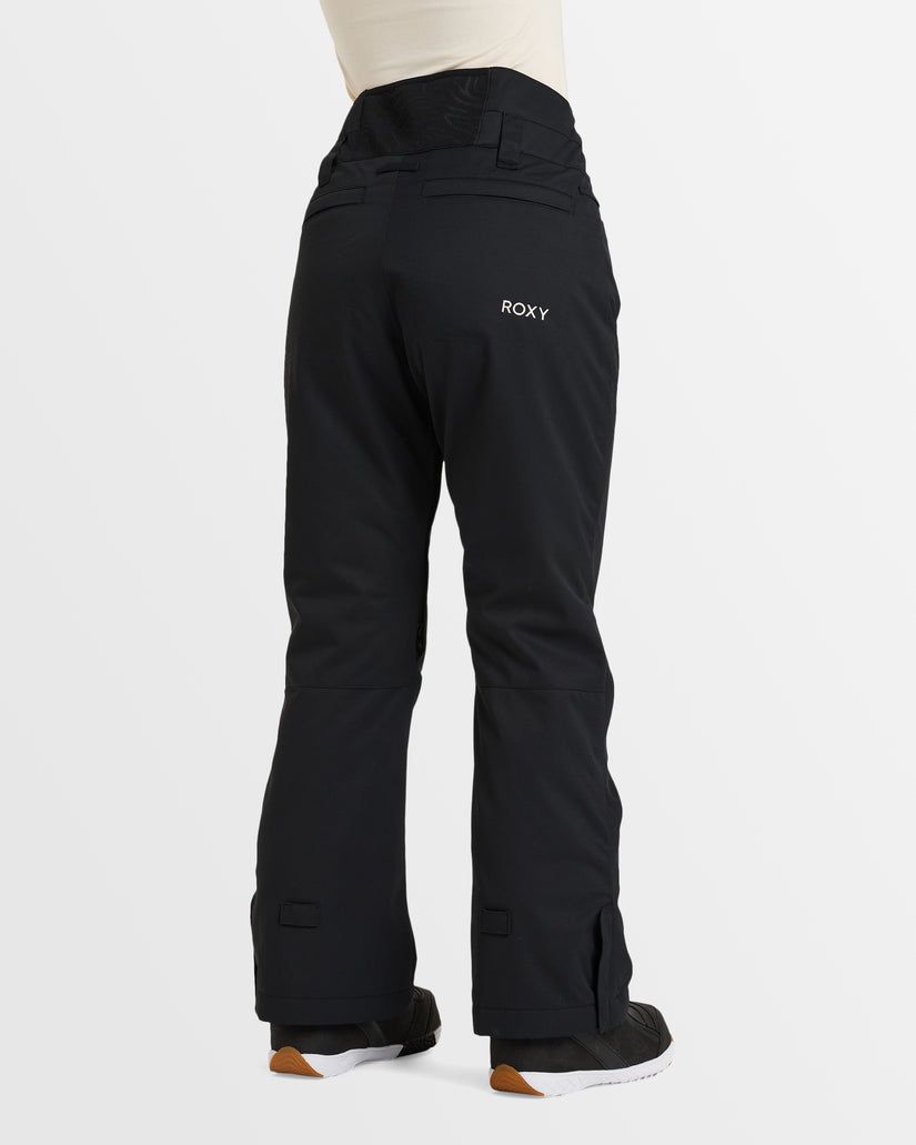 Womens Diversion Snow Pants